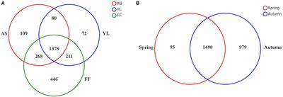 Environmental Factors Influencing Phyllosphere Bacterial Communities in Giant Pandas’ Staple Food Bamboos